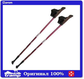 Палки для скандинавской ходьбы Tramp Fitness TRR-011, photo number 2