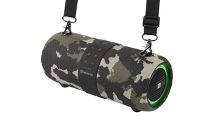 Колонка REAL-EL X-733 camo (24Вт, Bluetooth, USB, AUX, 3600мА*час), photo number 9