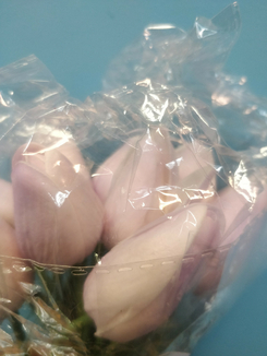 Тюльпаны искусственные 10шт/уп Лиловые, фото №5
