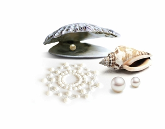 Пэстис из кристаллов Bijoux Indiscrets - Mimi Pearl, украшение на грудь, фото №3