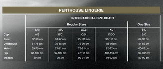 Приталенная сорочка-сетка со стрингами Penthouse - All Yours Black M/L, фото №5
