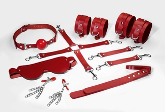 Набор Feral Feelings BDSM Kit 7 Red, наручники, поножи, коннектор, маска, паддл, кляп, зажимы, фото №2