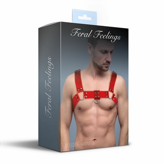 Мужская портупея на грудь Feral Feelings - Bulldog Harness Red Trasparent, фото №4