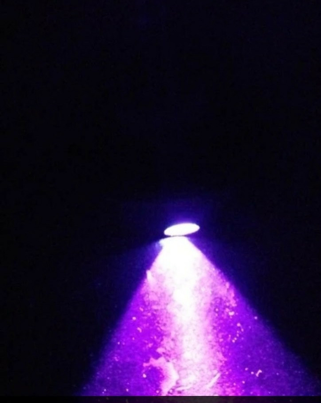 Фонарик, лампа ультрафиолетовая 395 nm UV 1шт, photo number 7