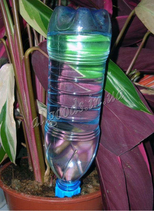 Аква конус, автоматический капельный полив растений 1шт, фото №5
