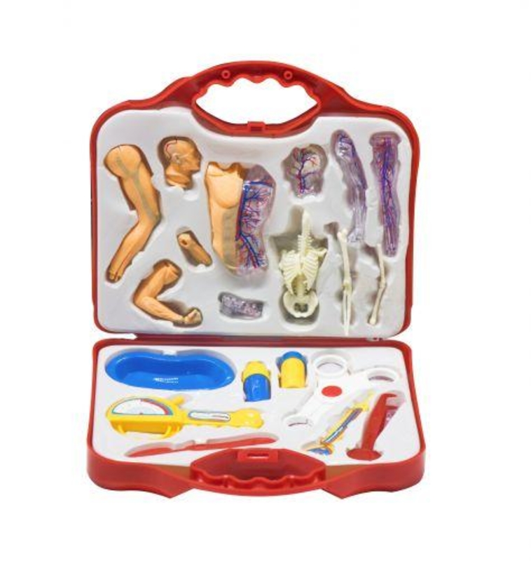 Докторский набор с анатомической моделью (в чемоданчике) 826761_3219