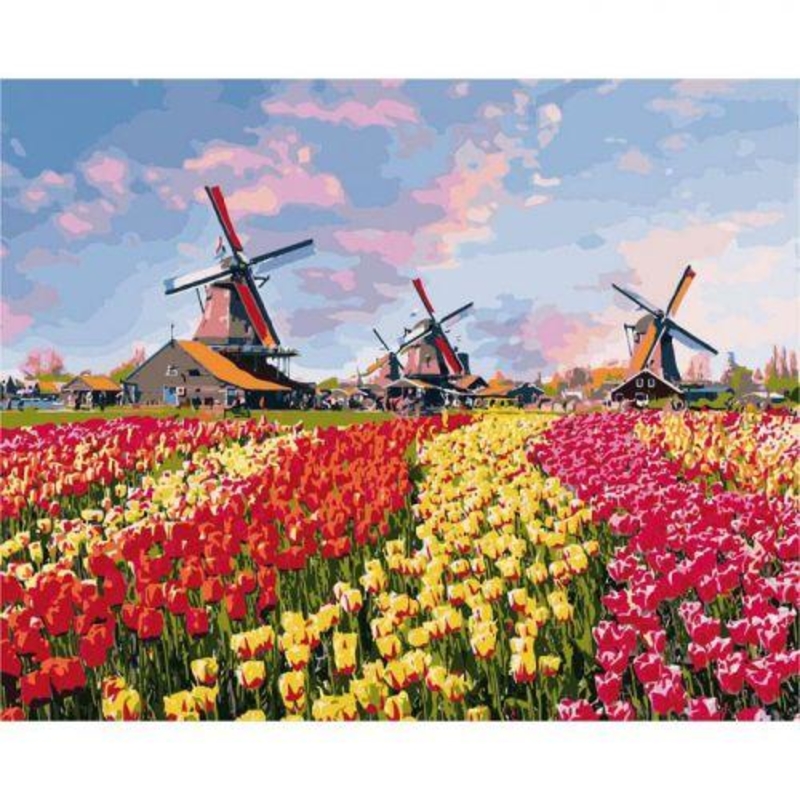 Картина по номерам "Красочные тюльпаны Голландии" КНО2224