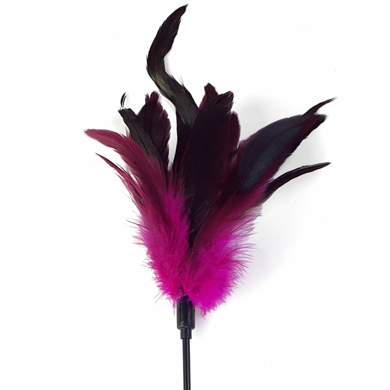 Щекоталка темно-розовый Art of Sex - Feather Paddle, перо молодого петуха, numer zdjęcia 3