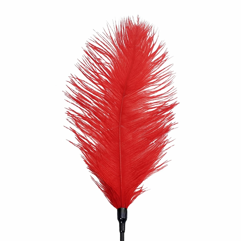 Щекоталка со страусиным пером  Art of Sex - Feather Tickler, цвет Красный, фото №4